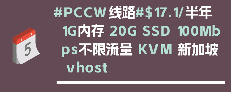 #PCCW线路#$17.1/半年 1G内存 20G SSD 100Mbps不限流量 KVM 新加坡 vhost