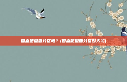 固态硬盘要分区吗？(固态硬盘要分区对齐吗)