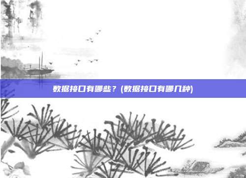 数据接口有哪些?(数据接口有哪几种)