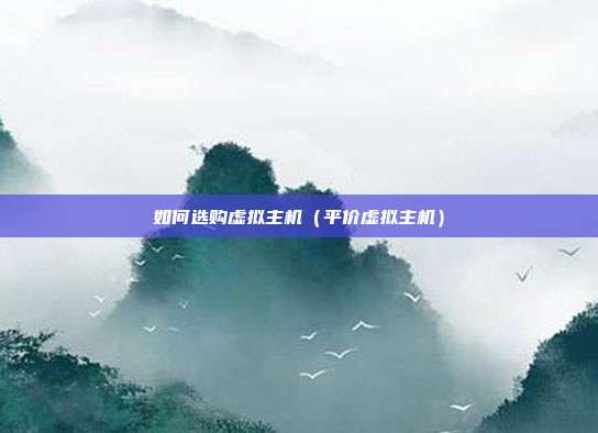 如何选购虚拟主机（平价虚拟主机）