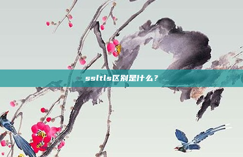 ssltls区别是什么?