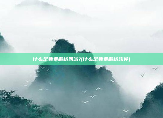 什么是免费解析网站?(什么是免费解析软件)