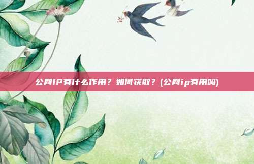 公网IP有什么作用？如何获取？(公网ip有用吗)