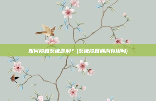 如何修复系统漏洞?(系统修复漏洞有用吗)
