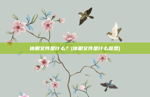休眠文件是什么？(休眠文件是什么意思)
