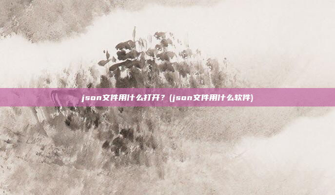 json文件用什么打开?(json文件用什么软件)