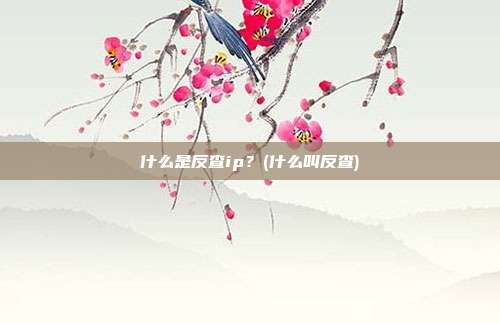 什么是反查ip?(什么叫反查)