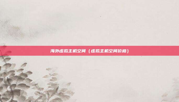 海外虚拟主机空间（虚拟主机空间价格）