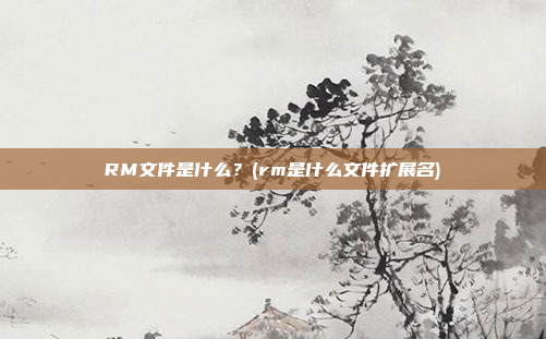 RM文件是什么?(rm是什么文件扩展名)