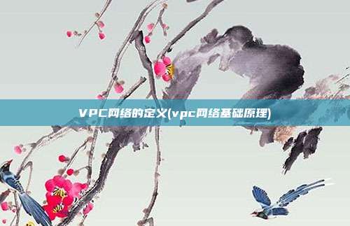 VPC网络的定义(vpc网络基础原理)