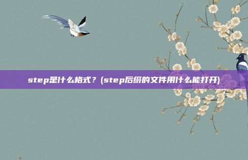 step是什么格式?(step后缀的文件用什么能打开)