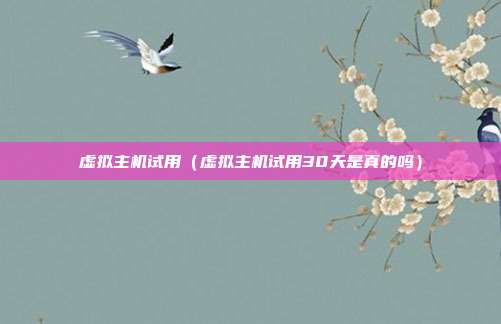 虚拟主机试用（虚拟主机试用30天是真的吗）