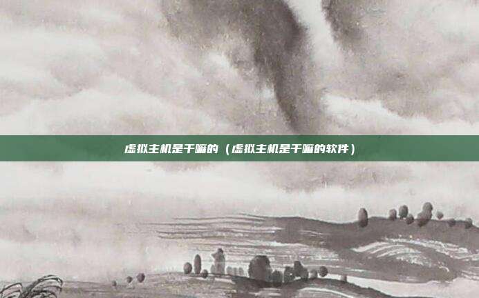 虚拟主机是干嘛的（虚拟主机是干嘛的软件）