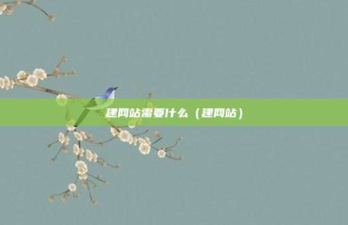 建网站需要什么（建网站）