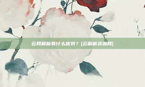 云网解析有什么优势？(云解析资源网)