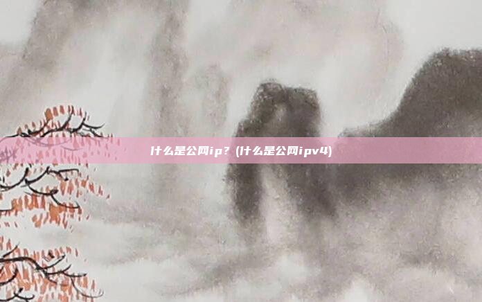 什么是公网ip?(什么是公网ipv4)