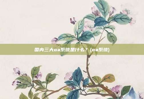 国内三大oa系统是什么？(oa系统)