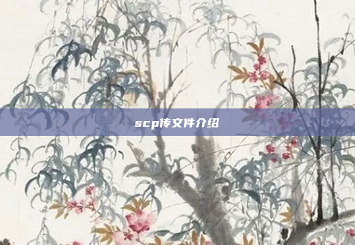scp传文件介绍
