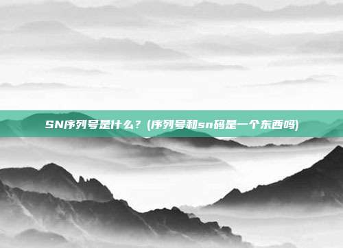 SN序列号是什么?(序列号和sn码是一个东西吗)