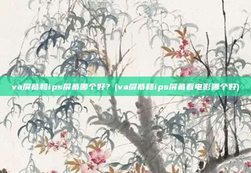 va屏幕和ips屏幕哪个好?(va屏幕和ips屏幕看电影哪个好)