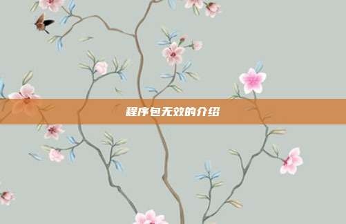 程序包无效的介绍