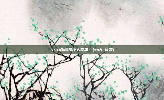 SSH终端是什么意思?(ssh 终端)