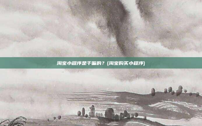 淘宝小程序是干嘛的?(淘宝购买小程序)