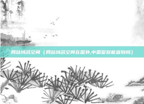 网站域名空间（网站域名空间在国外,中国警察能查到吗）