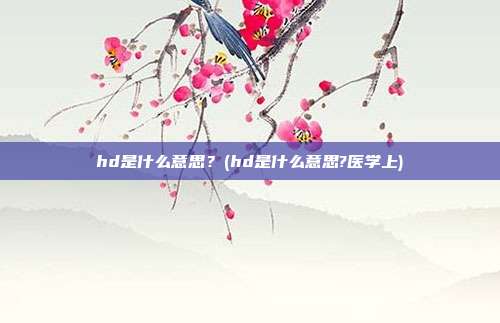 hd是什么意思？(hd是什么意思?医学上)