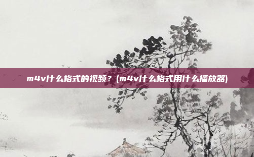 m4v什么格式的视频?(m4v什么格式用什么播放器)