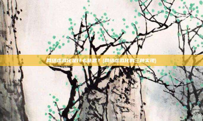 网络虚拟化是什么意思?(网络虚拟化的三种实现)