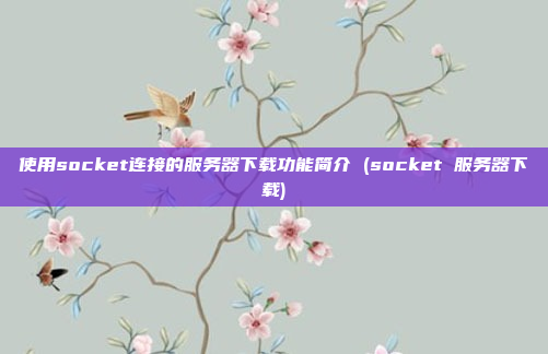 使用socket连接的服务器下载功能简介 (socket 服务器下载)
