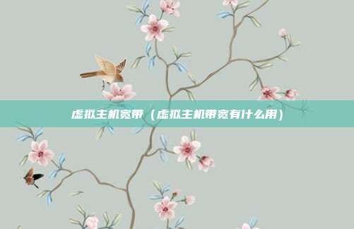 虚拟主机宽带（虚拟主机带宽有什么用）
