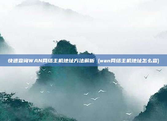 快速查询WAN网络主机地址方法解析 (wan网络主机地址怎么查)