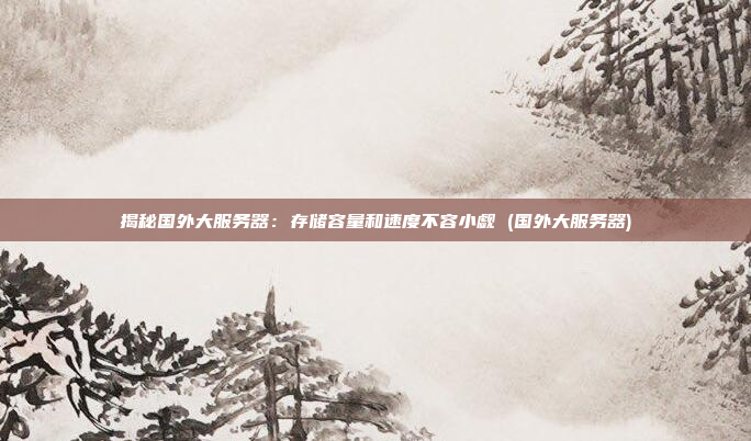 揭秘国外大服务器:存储容量和速度不容小觑 (国外大服务器)