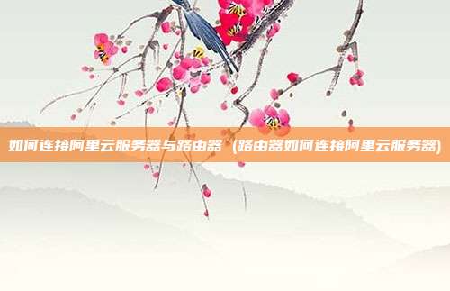 如何连接阿里云服务器与路由器 (路由器如何连接阿里云服务器)