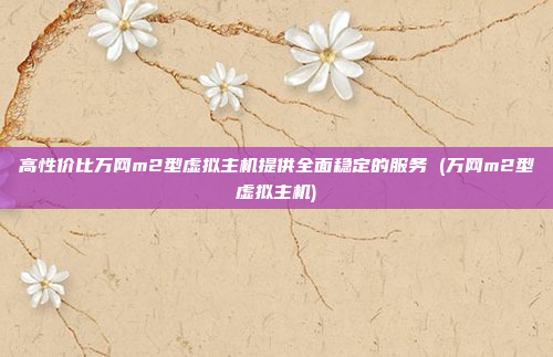 高性价比万网m2型虚拟主机提供全面稳定的服务 (万网m2型虚拟主机)