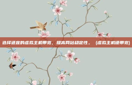 选择适宜的虚拟主机带宽,提高网站稳定性。 (虚拟主机德带宽)
