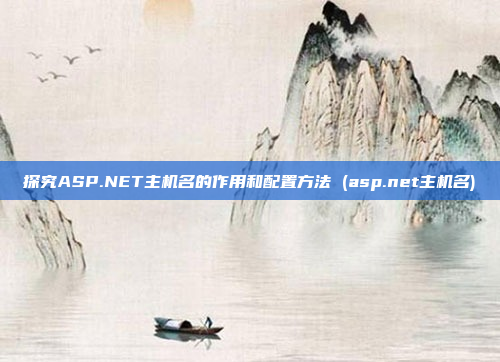 探究ASP.NET主机名的作用和配置方法 (asp.net主机名)