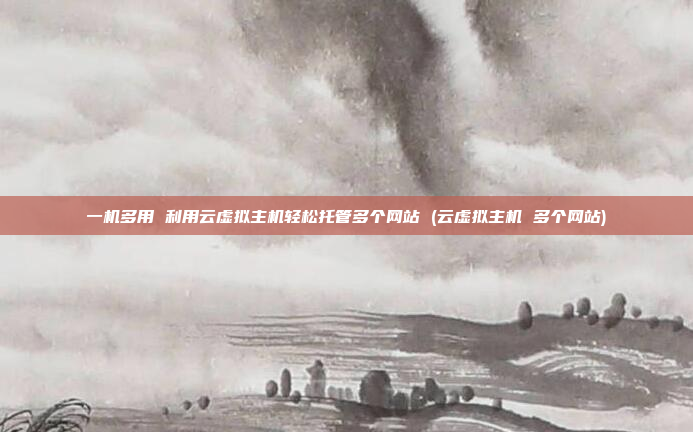 一机多用 利用云虚拟主机轻松托管多个网站 (云虚拟主机 多个网站)