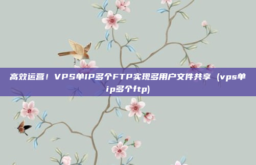 高效运营!VPS单IP多个FTP实现多用户文件共享 (vps单ip多个ftp)