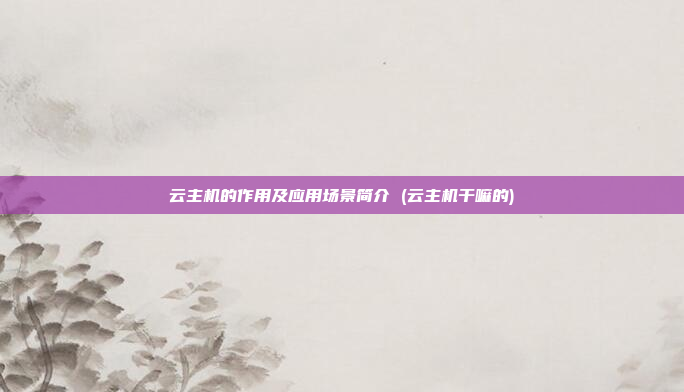 云主机的作用及应用场景简介 (云主机干嘛的)