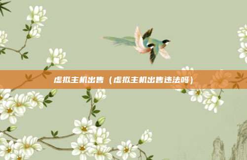 虚拟主机出售（虚拟主机出售违法吗）