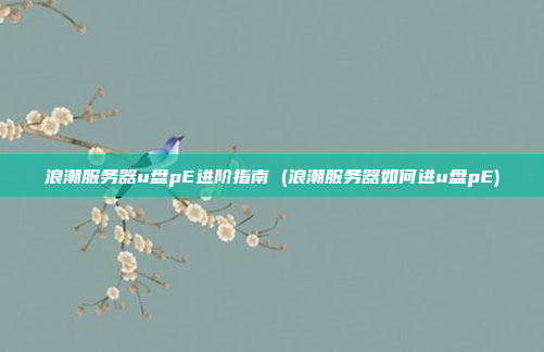 浪潮服务器u盘pE进阶指南 (浪潮服务器如何进u盘pE)