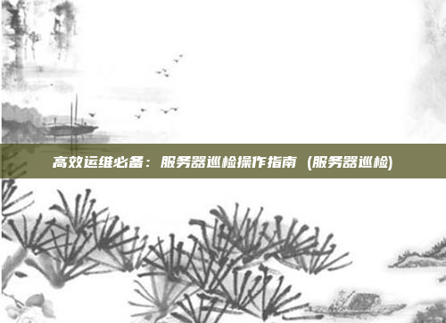 高效运维必备：服务器巡检操作指南 (服务器巡检)