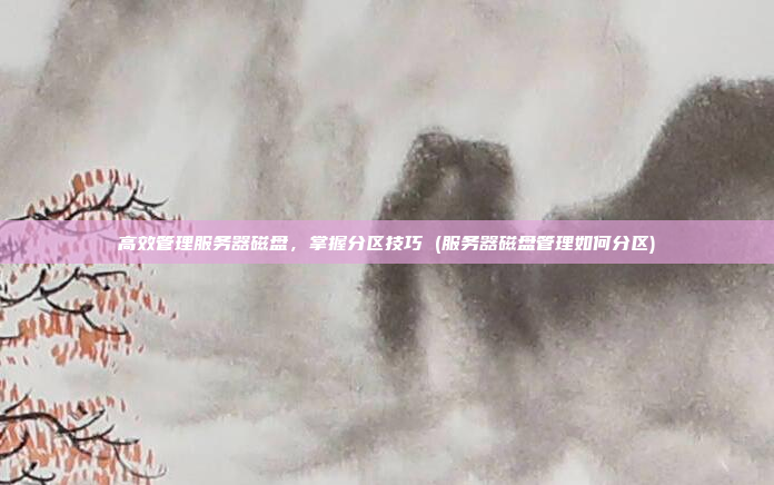 高效管理服务器磁盘,掌握分区技巧 (服务器磁盘管理如何分区)