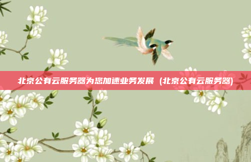 北京公有云服务器为您加速业务发展 (北京公有云服务器)