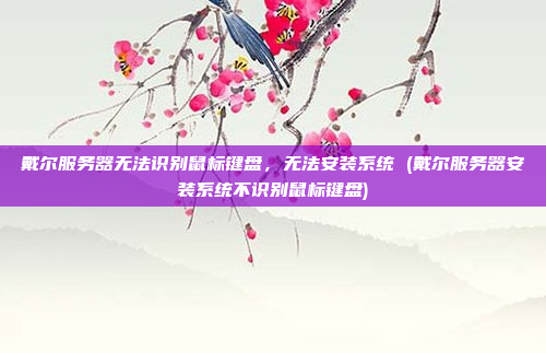 戴尔服务器无法识别鼠标键盘，无法安装系统 (戴尔服务器安装系统不识别鼠标键盘)