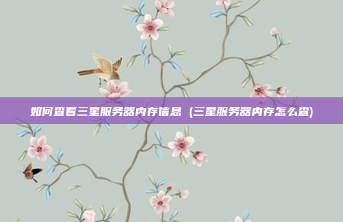 如何查看三星服务器内存信息 (三星服务器内存怎么查)