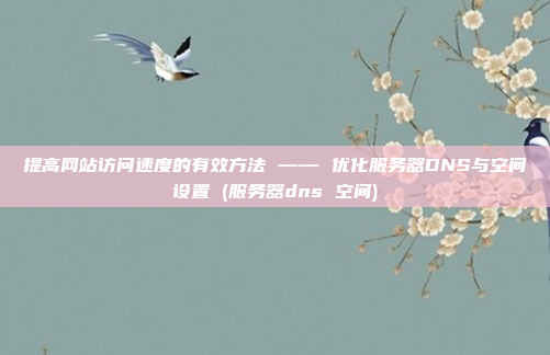 提高网站访问速度的有效方法 —— 优化服务器DNS与空间设置 (服务器dns 空间)